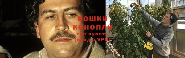 дживик Бронницы
