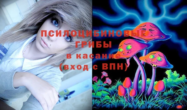 Альфа ПВП Бородино