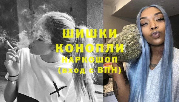 Альфа ПВП Бородино