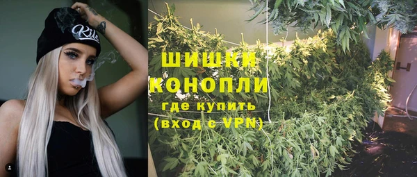 дживик Бронницы