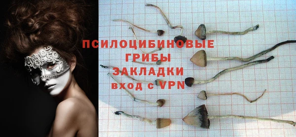 Альфа ПВП Бородино