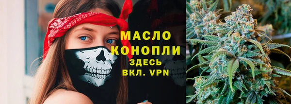 дживик Бронницы