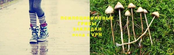 дживик Бронницы