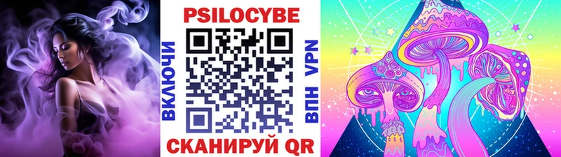 Купить закладки  Кандалакша  Галлюциногенные грибы прущие грибы 